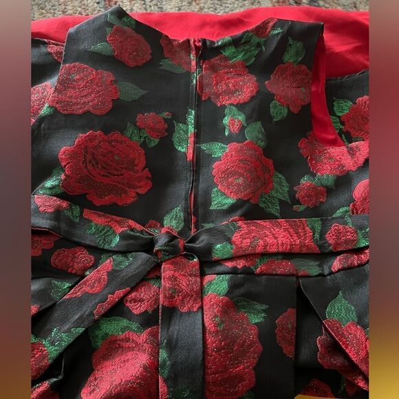 Sleeveless Embroidered Flower High Lo Formal Dress with lining - Picture 7 of 9